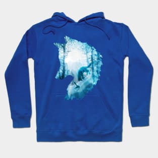 Fox's Winterland Hoodie